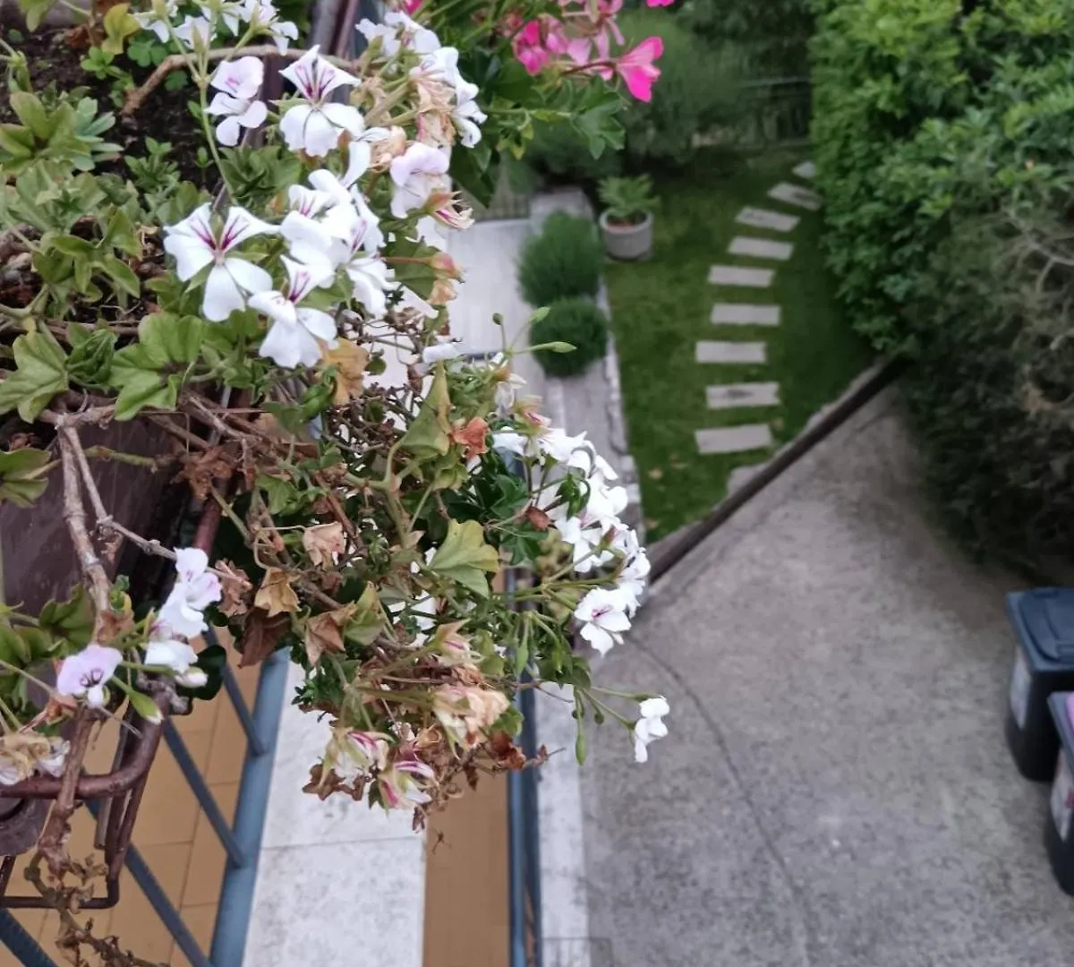 Palme Apartments Opatija